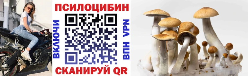 Купить закладки Спас-Деменск Галлюциногенные грибы Magic Shrooms
